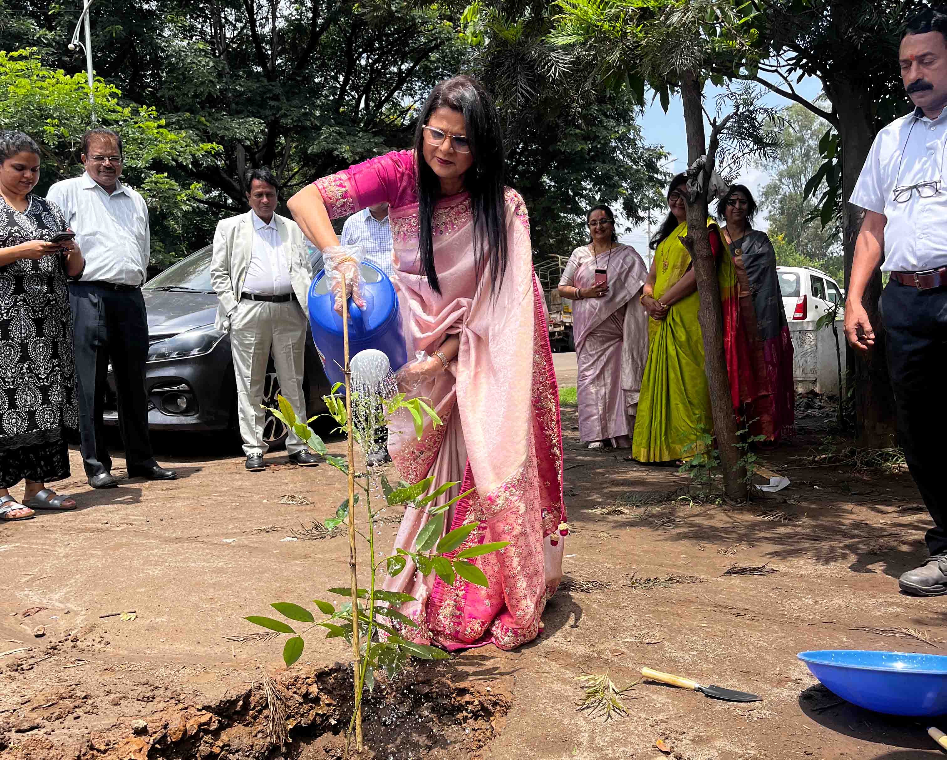 Annual Tree Plantation